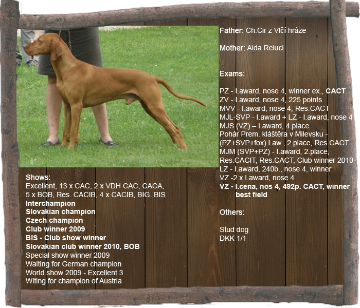 art profil1 aj